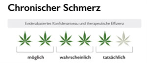Cannabis-Score